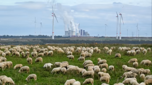 Netherlands Joins Spain and Poland in Move to Quit Energy Treaty – FT